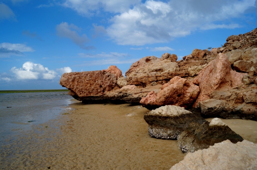 В лагуне  Detwah (Дитра)