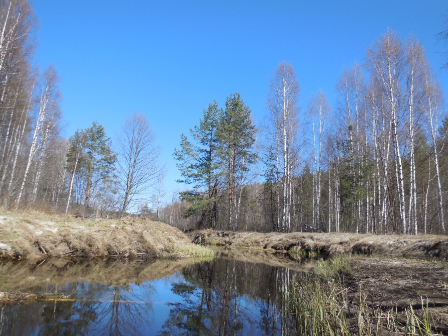 Берега Утруса