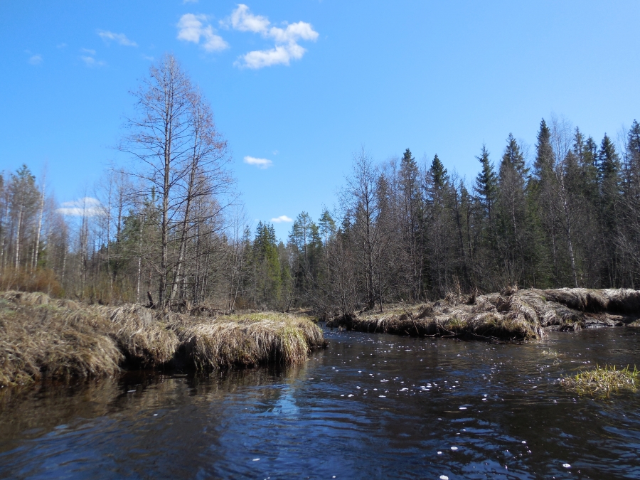 Устье реки Мормаз