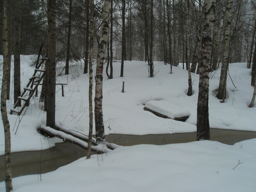 Предновогодняя неделя на Новгородке. Фото 3