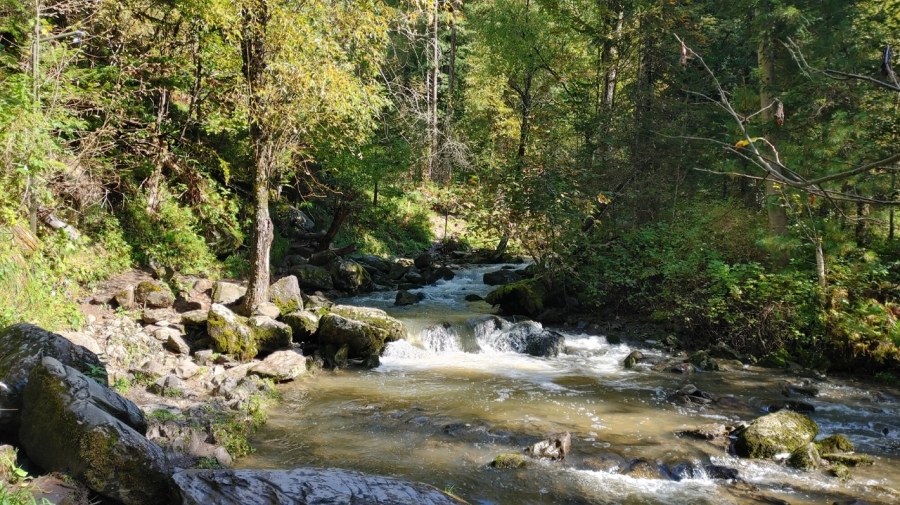 �� ����� ����� ���� �������