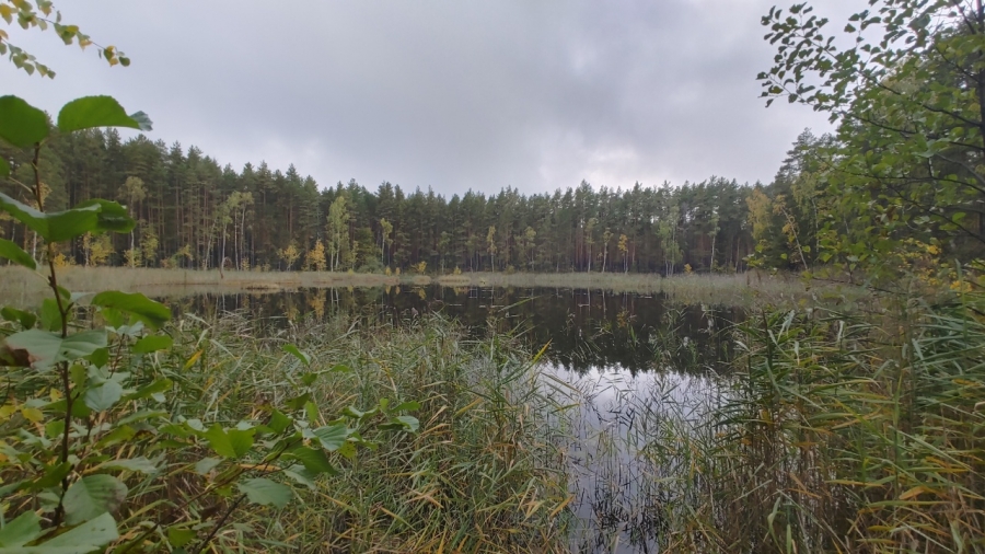 �� ����� ��������