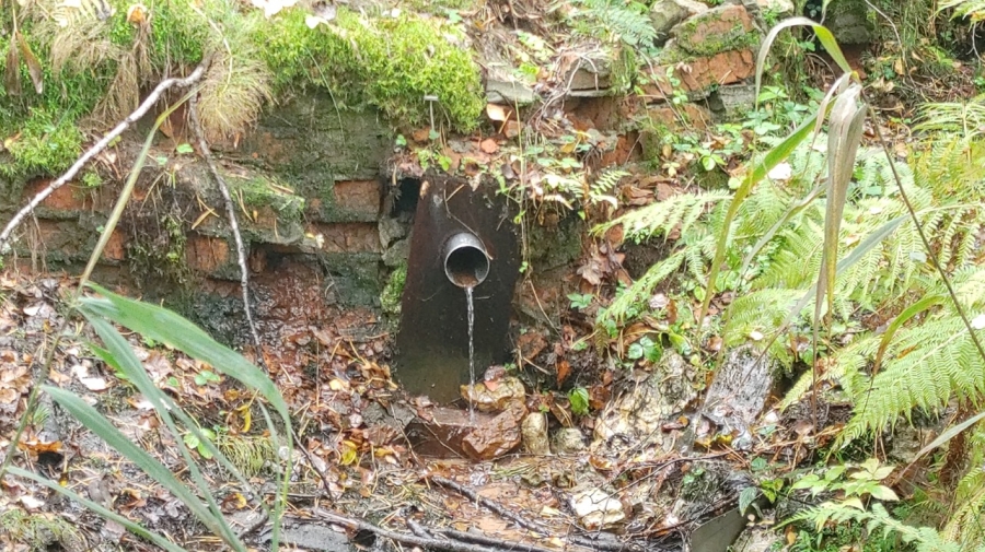 Второй родник у озера Холодное