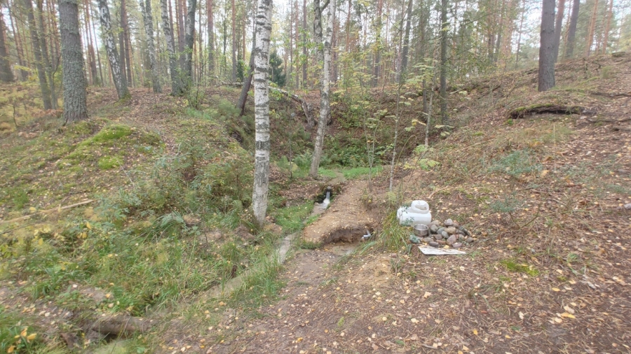 Выход Третьего родника у озера Холодное