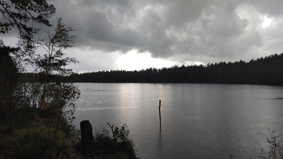 ����� ���������� �� ����� �����