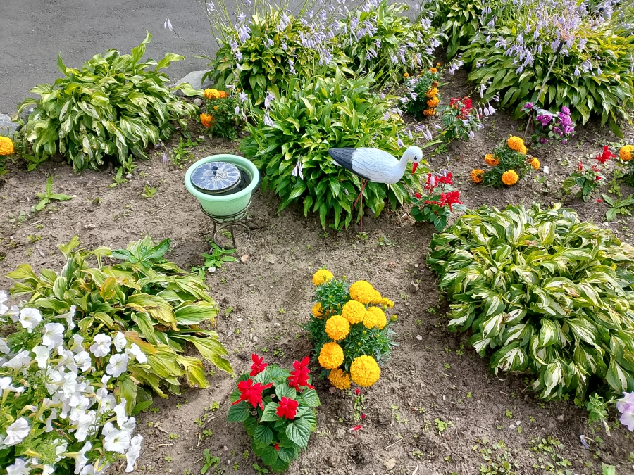 �� ���������� ���������. ���� 1