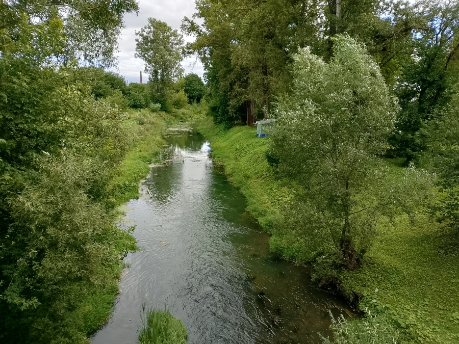 ���� ������� � �. �������. ���� 1