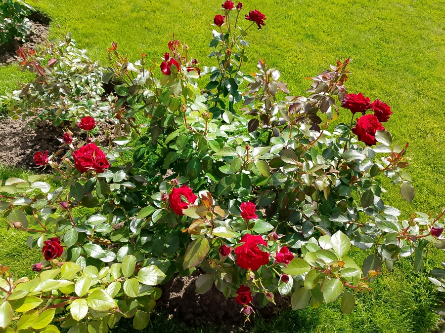 �� ���������� ���������. ���� 8