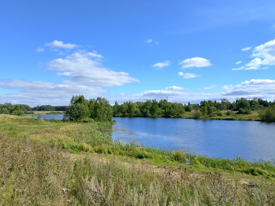 ���� �� ���� ���� � ������� �������