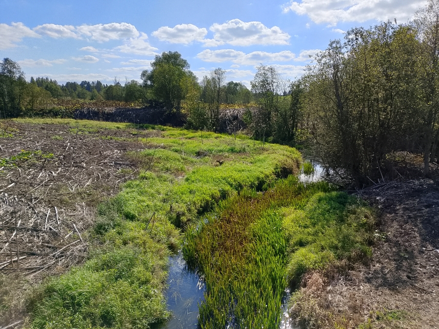 ���� �������. ���� 1