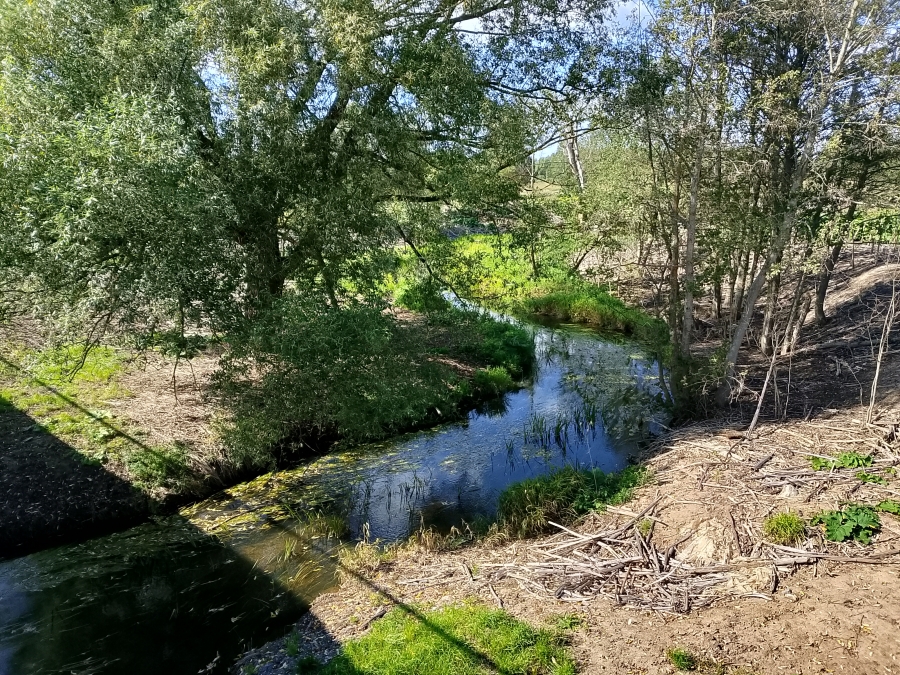 ���� �������. ���� 2