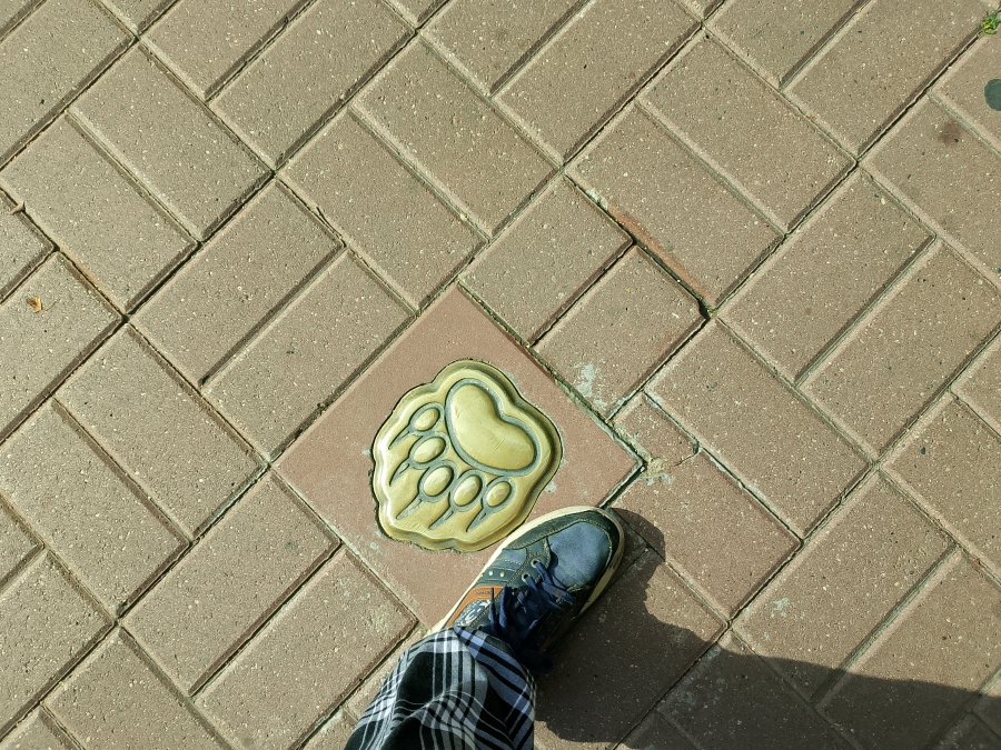 "����� �������" �� ����������