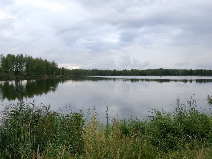 ������� �� ���������� �����. ���� 1