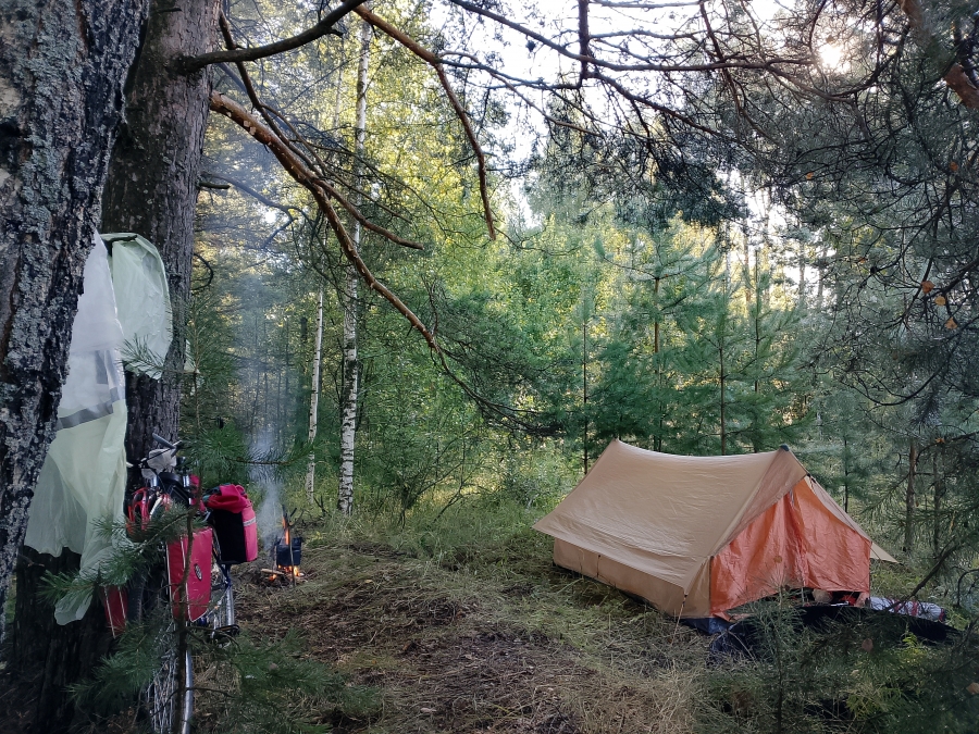 � ������ ���� � ������