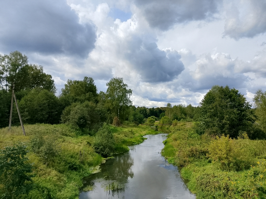 ���� �������. ���� 1