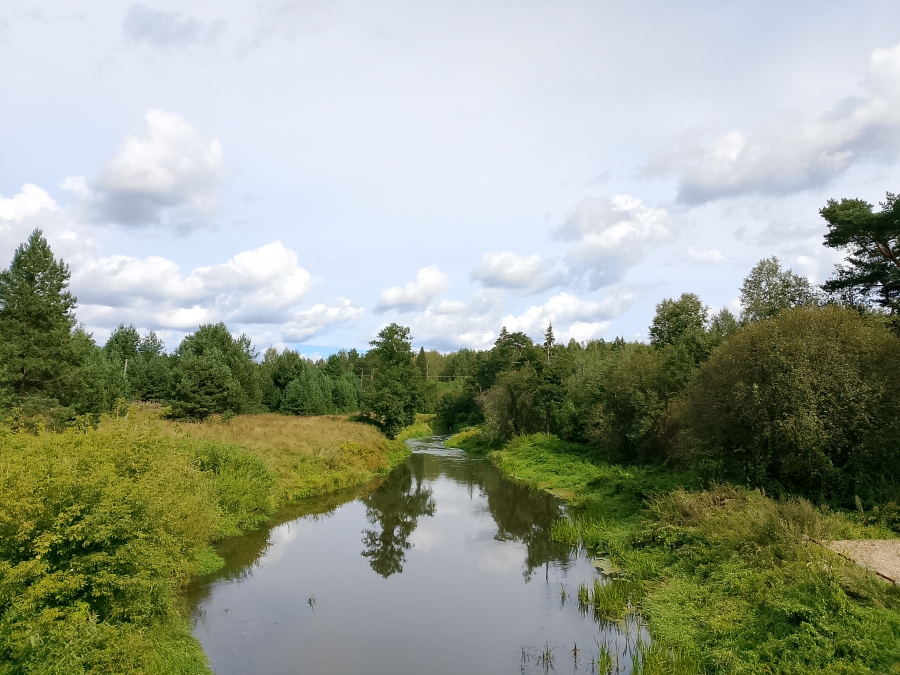 ���� ������� � ������� �������. ���� 1