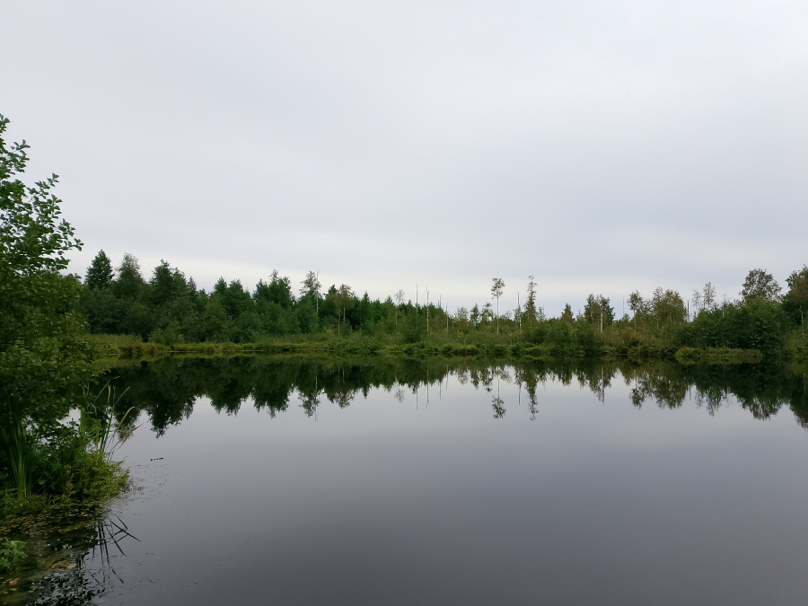 ����� ����������� � �. ������