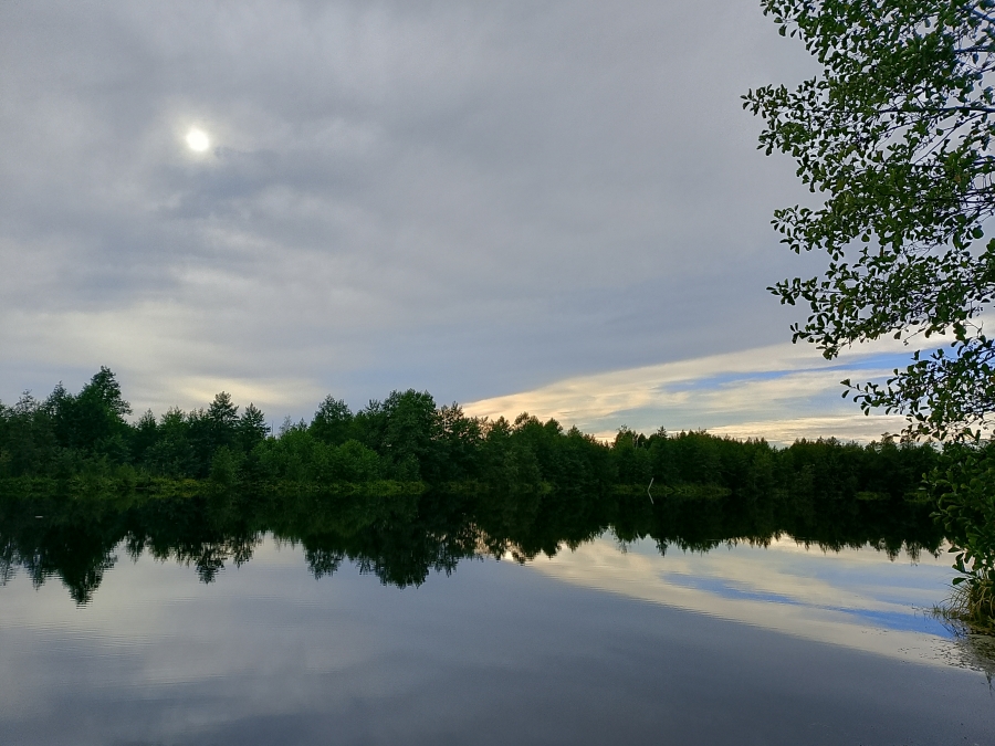 ����������� �����. ��������