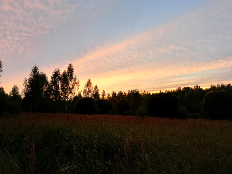 ����� ���������� ������