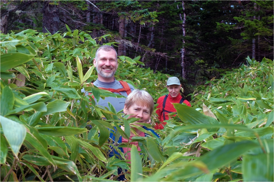 � �������� ����������