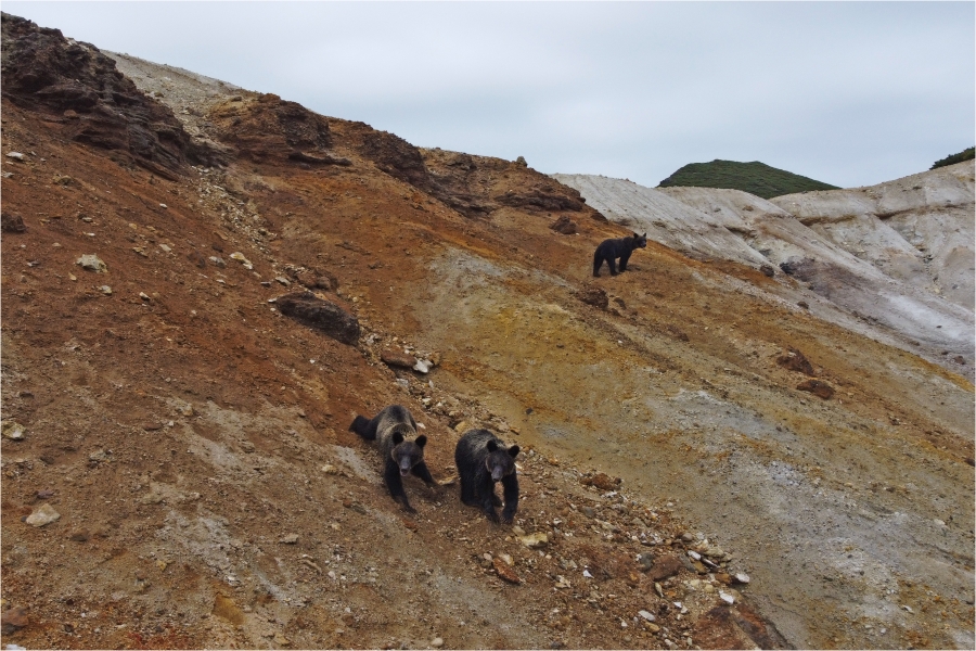 ����������