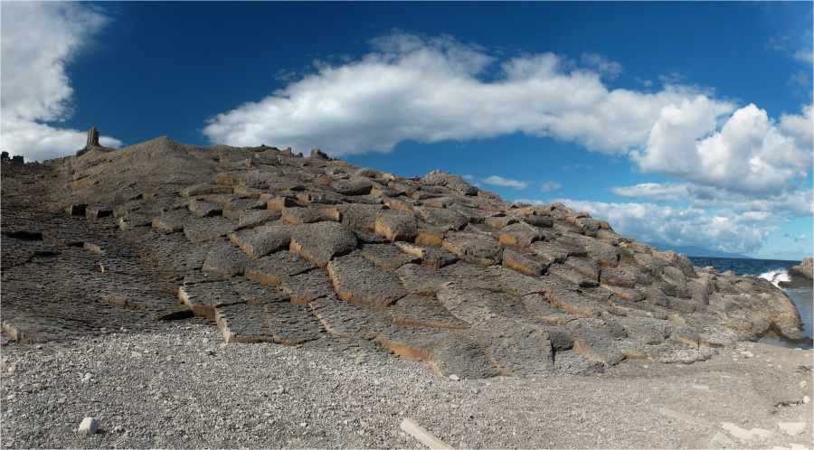 ����������� "��������"