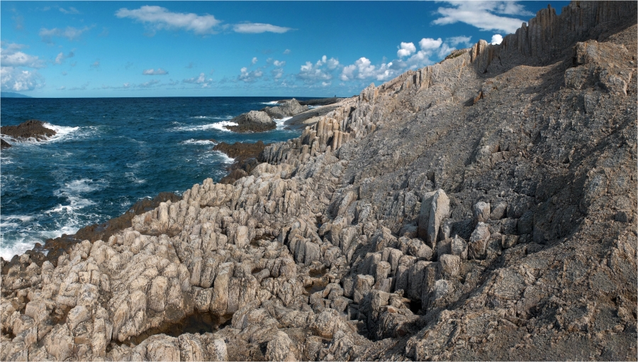 ��������