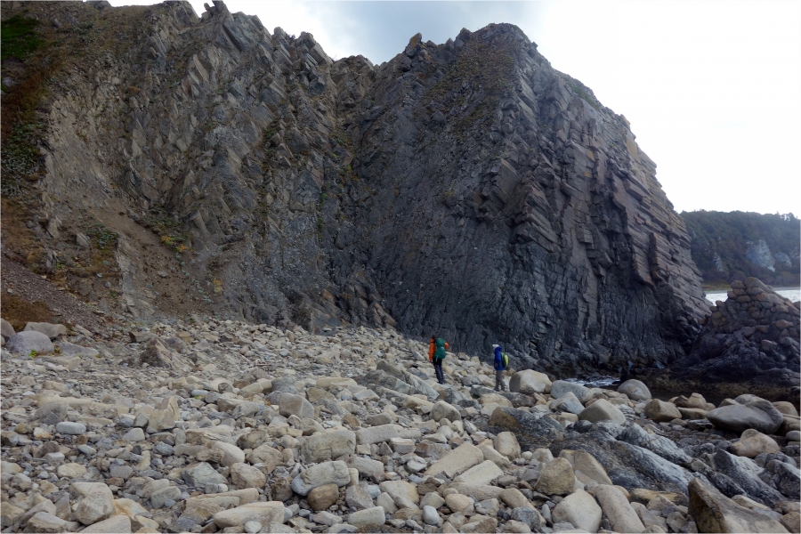 ���� ����� �����