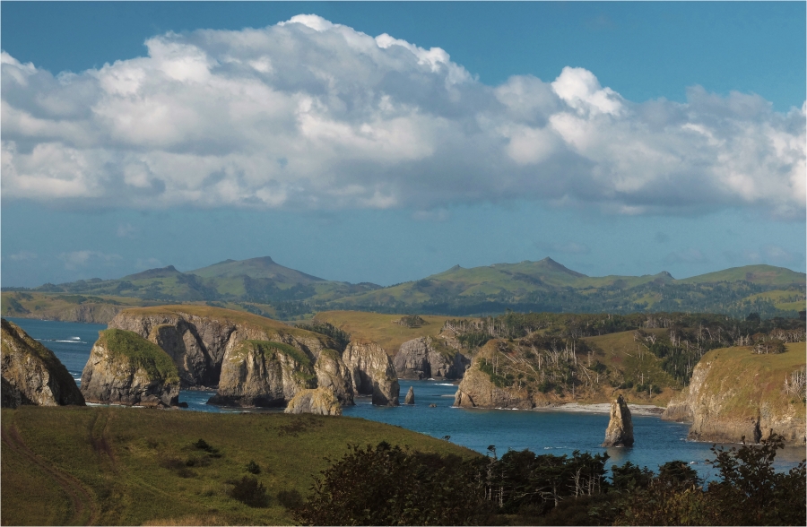 ������� ����� ����������