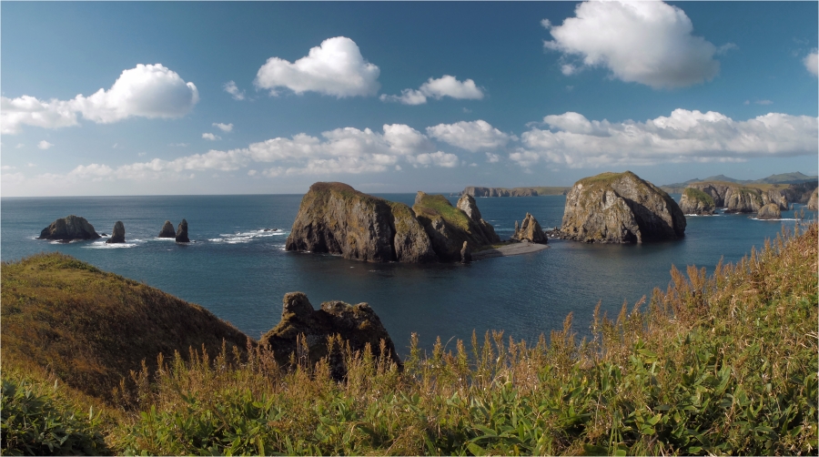 ����� ����������