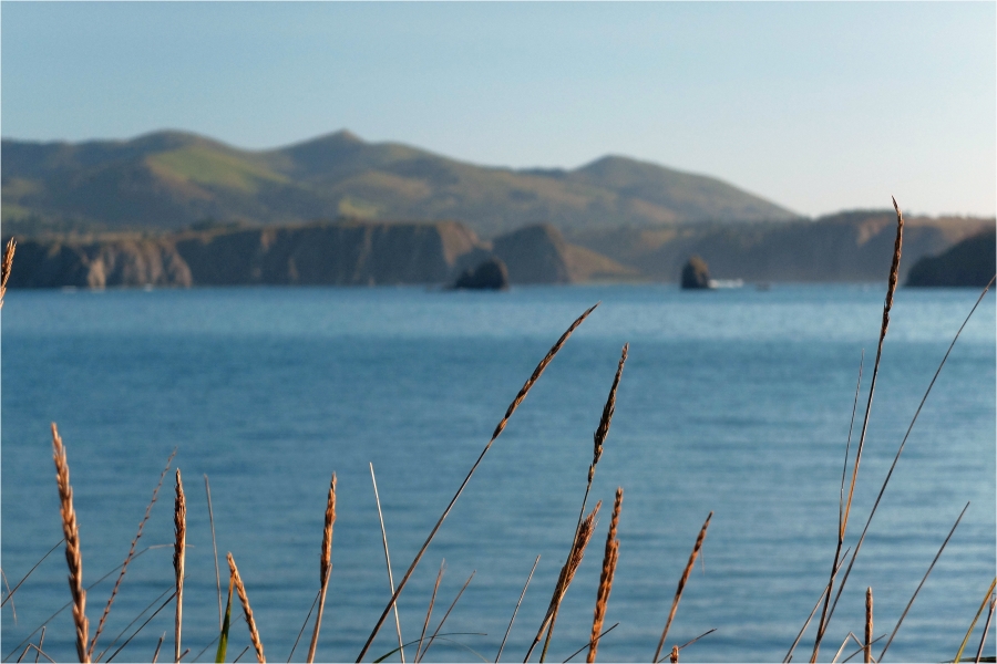 ��������� �� ������� ����