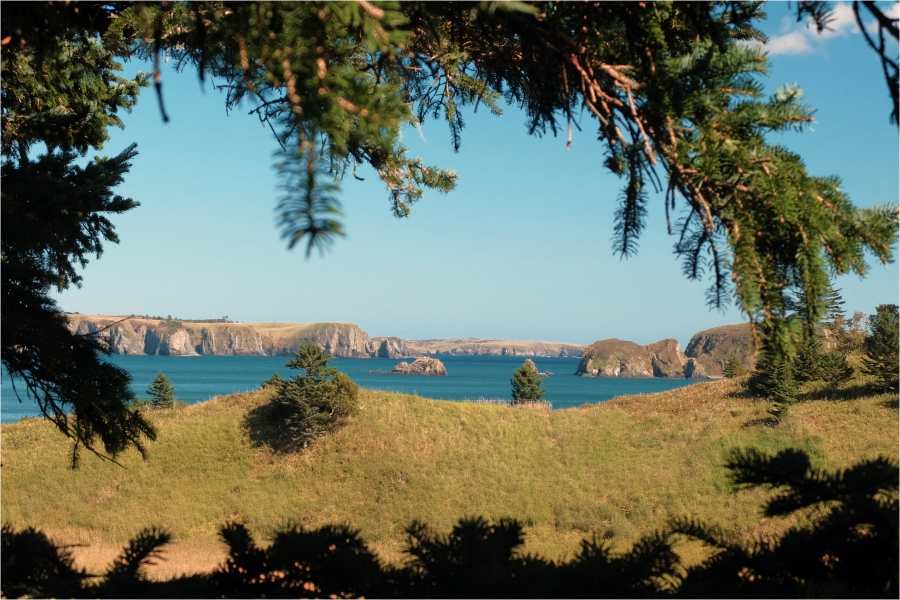 � ��������� ����� 