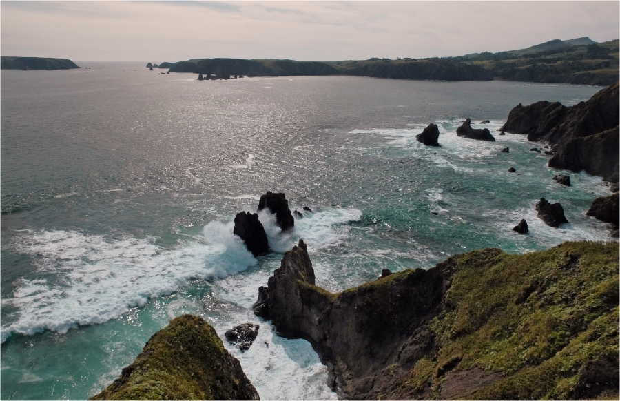 ��� � ���� ��������� �� ����� ��������