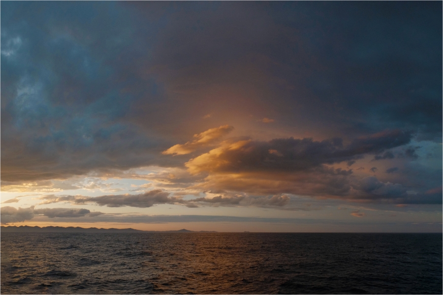 � ����� ������