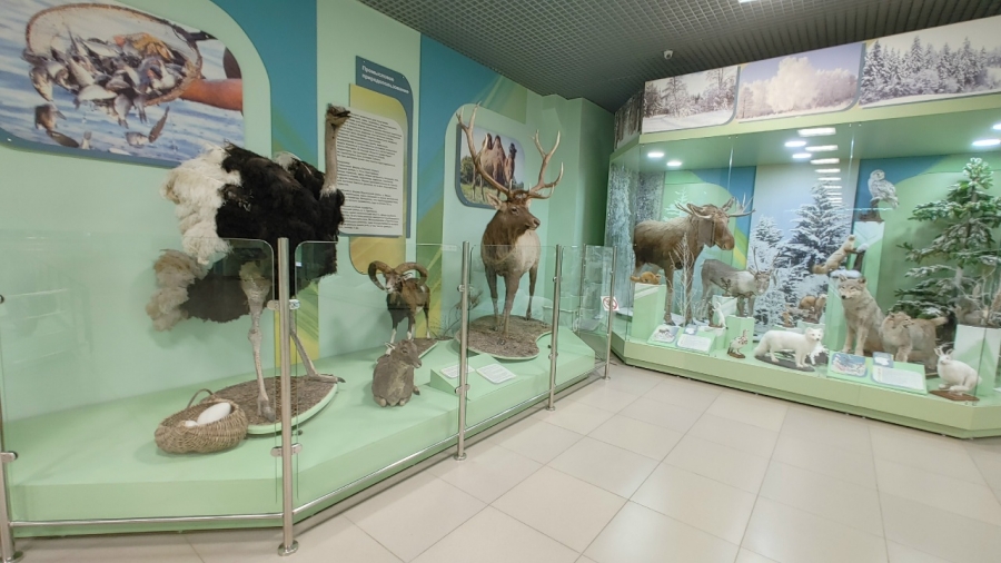 � ����� �����