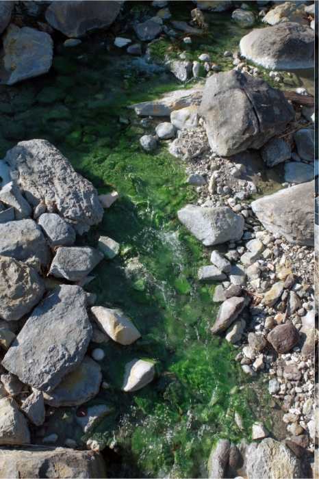 ��������� ���������� ����