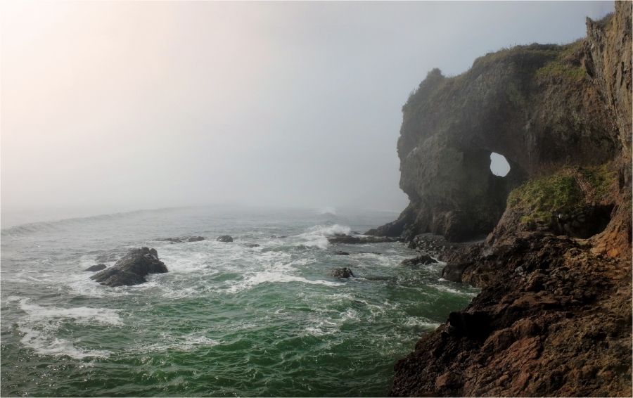 ��� ����������