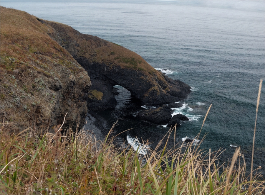 �������� ����