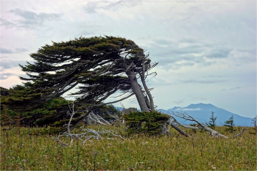 �����-�������