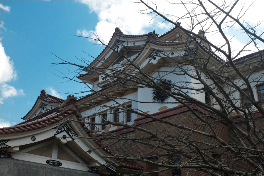 ������������� ����� ����-����������