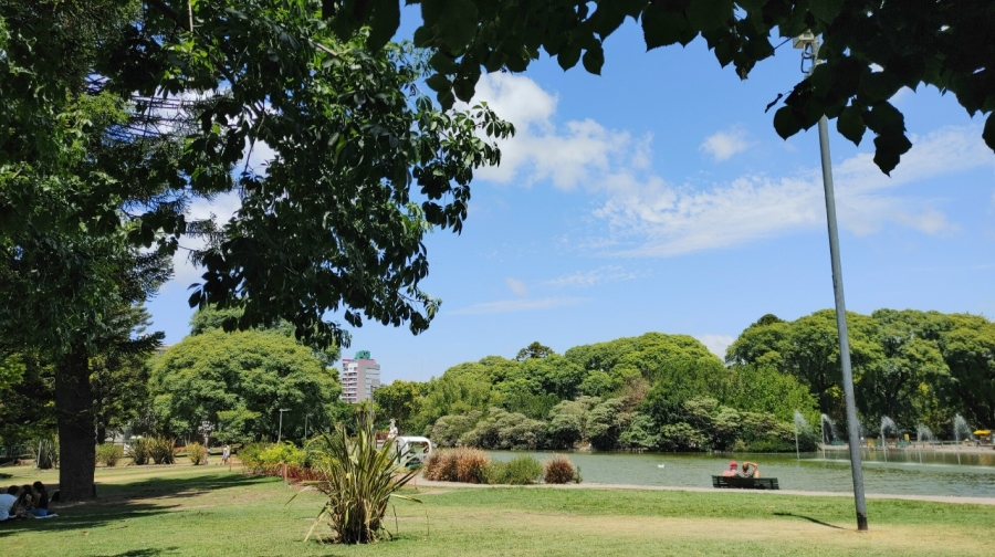 � ����� ����������