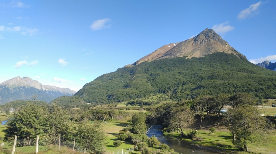 ��������� �� ���� ��� ����