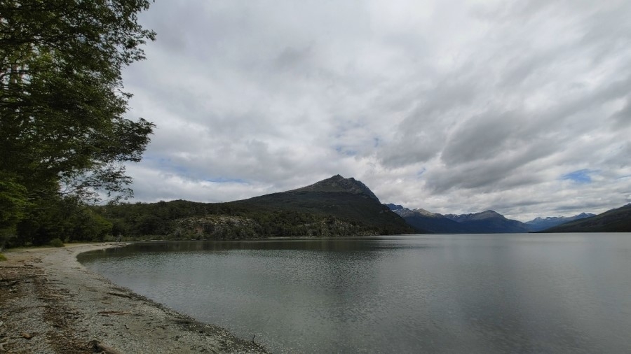 �� ������ ����� ����