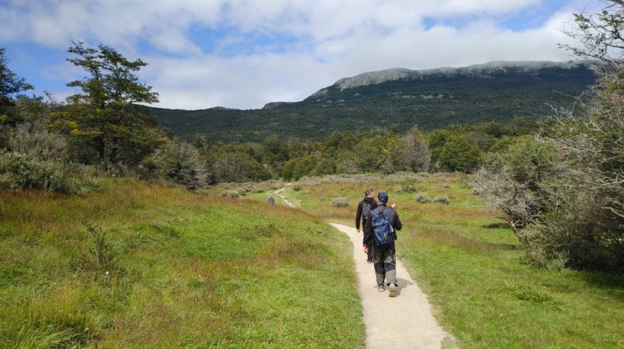 ������ �����������