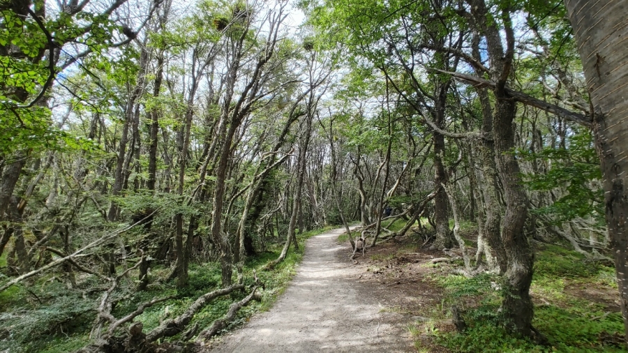 ��� �� �����