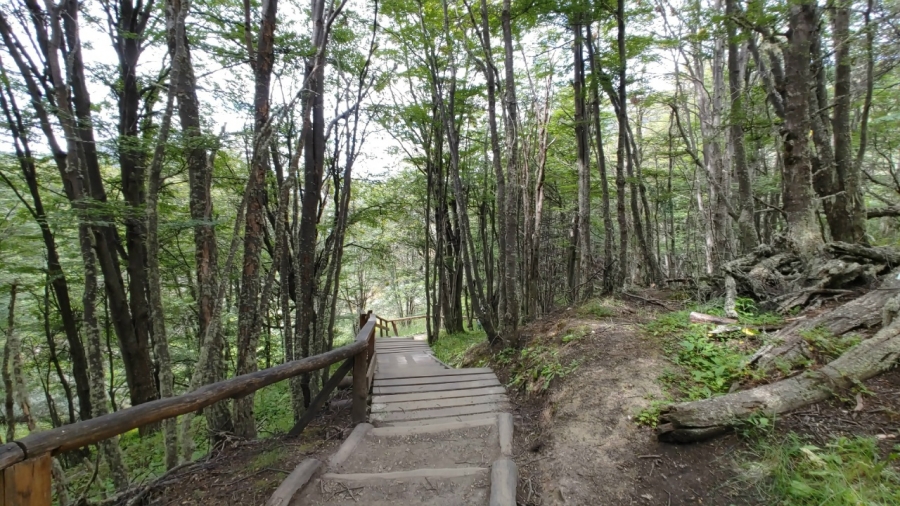 �������� �� �����