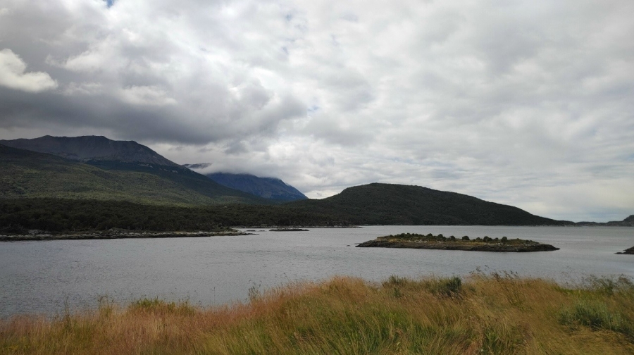 �� ������ ������ ��������