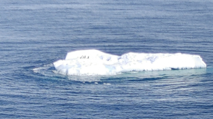 ������� � ����������