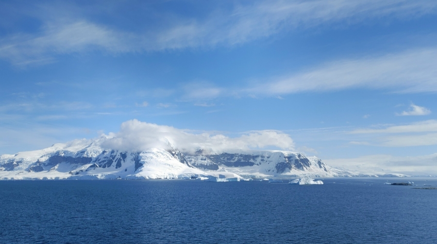 ����������. ���� 11