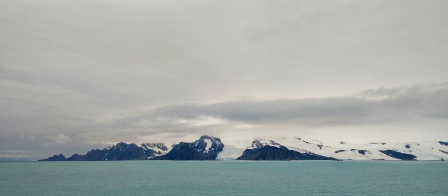 ������ ����������